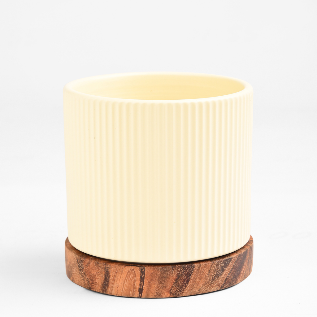 Ceramic Planter with Acacia base