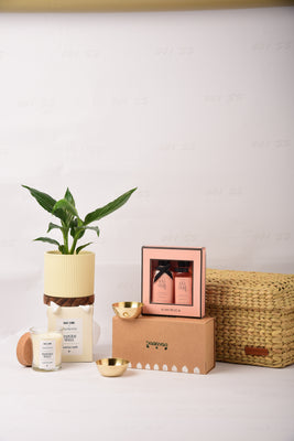 Plant & Pamper