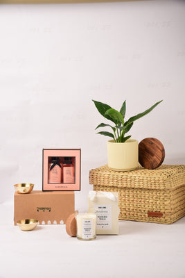 Plant & Pamper