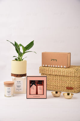 Plant & Pamper