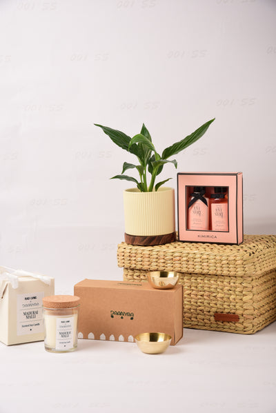 Plant & Pamper