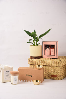 Plant & Pamper